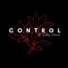 Danny Kingsley - Control (feat. Kitty Perrin) - Single